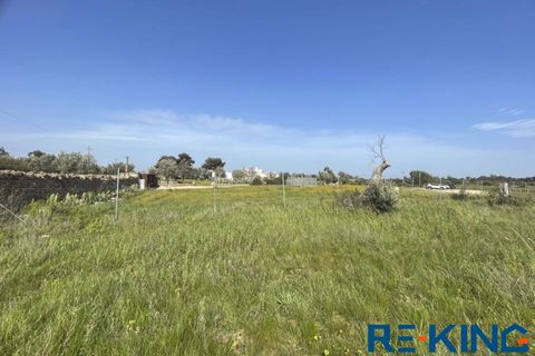Terra a Galatone, Lecce, Galatone - € 10.000 | Ref: TA178 - foto 7