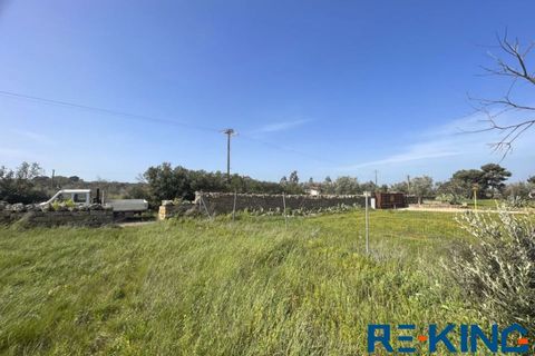Terra a Galatone, Lecce, Galatone - € 10.000 | Ref: TA178 - foto 9
