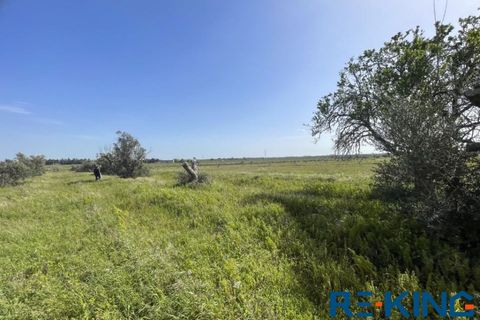 Terra a Galatone, Lecce, Galatone - € 10.000 | Ref: TA178 - foto 10