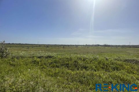 Terra a Galatone, Lecce, Galatone - € 10.000 | Ref: TA178 - foto 12