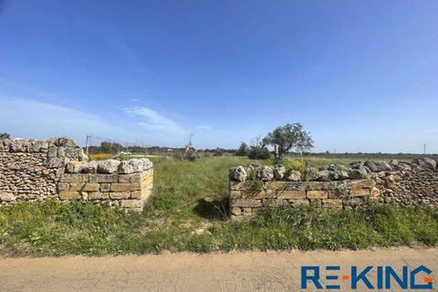Terra a Galatone, Lecce, Galatone - € 10.000 | Ref: TA178 - foto 18