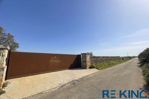 Terra a Galatone, Lecce, Galatone - € 10.000 | Ref: TA178 - foto 19
