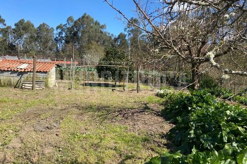 Villa i Amares, Braga, Amares - € 550.000 | Ref: 3603 - foto 11