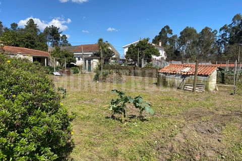 Villa i Amares, Braga, Amares - € 550.000 | Ref: 3603 - foto 12