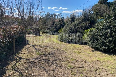 Villa i Amares, Braga, Amares - € 550.000 | Ref: 3603 - foto 18