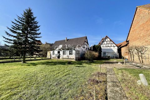 Farm hus i Alteckendorf, Bas-Rhin, Alteckendorf - € 299.900 | Ref: 55_V1000059091 - foto 23