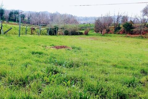 Byhus i Cabeceiras de Basto, Braga, Cabeceiras de Basto - € 445.000 | Ref: 139278 - foto 20