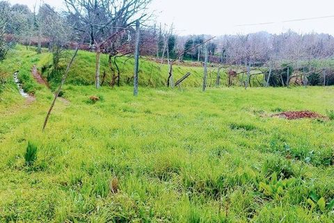 Byhus i Cabeceiras de Basto, Braga, Cabeceiras de Basto - € 445.000 | Ref: 139278 - foto 21