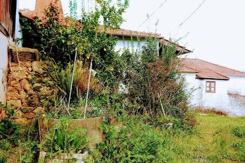 Byhus i Cabeceiras de Basto, Braga, Cabeceiras de Basto - € 445.000 | Ref: 139278 - foto 24