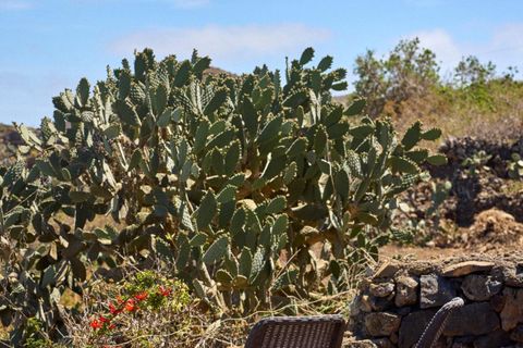 Villa i Valverde, Tenerife, Valverde - € 775.000 | Ref: EXP09447/8930 - foto 33