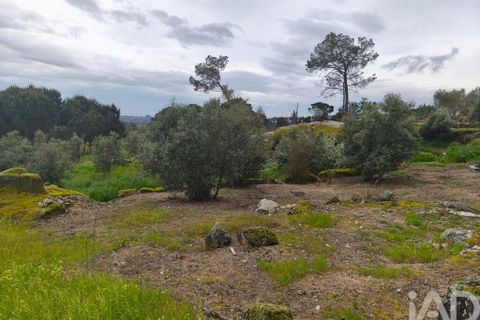 Byhus i Nelas, Viseu, Nelas - € 139.800 | Ref: 133282 - foto 5
