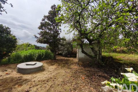 Byhus i Nelas, Viseu, Nelas - € 139.800 | Ref: 133282 - foto 6