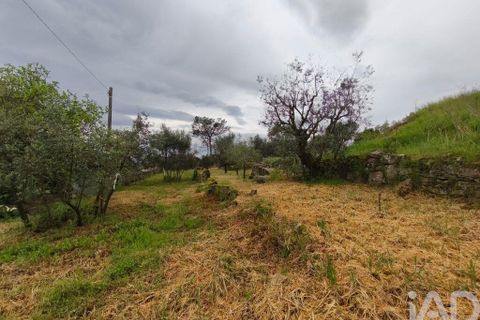 Byhus i Nelas, Viseu, Nelas - € 139.800 | Ref: 133282 - foto 7