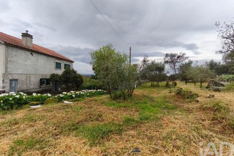 Byhus i Nelas, Viseu, Nelas - € 139.800 | Ref: 133282 - foto 20
