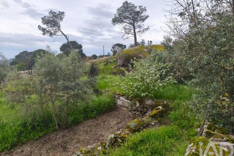 Byhus i Nelas, Viseu, Nelas - € 139.800 | Ref: 133282 - foto 24
