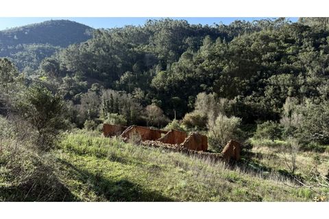 Landejendom i Odeceixe, Faro, Odeceixe - € 270.000 | Ref: #028 - foto 8