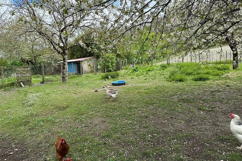 Villa a Coutures, Dordogne, Coutures - € 157.500 | Ref: 81 - foto 9