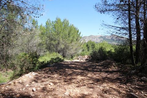 Helårsgrund i Jalon, Alicante, Jalon - € 149.000 | Ref: xj1415 - foto 3
