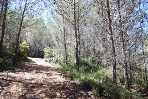 Helårsgrund i Jalon, Alicante, Jalon - € 149.000 | Ref: xj1415 - foto 4