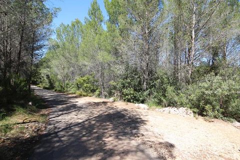 Helårsgrund i Jalon, Alicante, Jalon - € 149.000 | Ref: xj1415 - foto 5