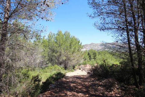Helårsgrund i Jalon, Alicante, Jalon - € 149.000 | Ref: xj1415 - foto 7