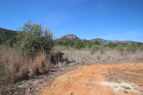 Helårsgrund i Jalon, Alicante, Jalon - € 350.000 | Ref: xj2048 - foto 1
