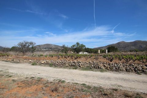 Helårsgrund i Jalon, Alicante, Jalon - € 350.000 | Ref: xj2048 - foto 2