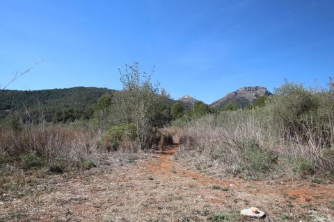 Helårsgrund i Jalon, Alicante, Jalon - € 350.000 | Ref: xj2048 - foto 3