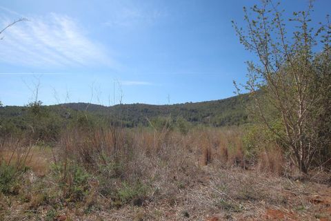 Helårsgrund i Jalon, Alicante, Jalon - € 350.000 | Ref: xj2048 - foto 5