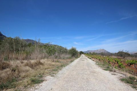 Helårsgrund i Jalon, Alicante, Jalon - € 350.000 | Ref: xj2048 - foto 6