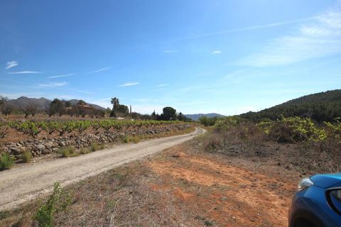 Helårsgrund i Jalon, Alicante, Jalon - € 350.000 | Ref: xj2048 - foto 7