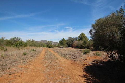 Helårsgrund i Jalon, Alicante, Jalon - € 350.000 | Ref: xj2048 - foto 10