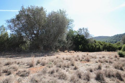 Helårsgrund i Jalon, Alicante, Jalon - € 350.000 | Ref: xj2048 - foto 11