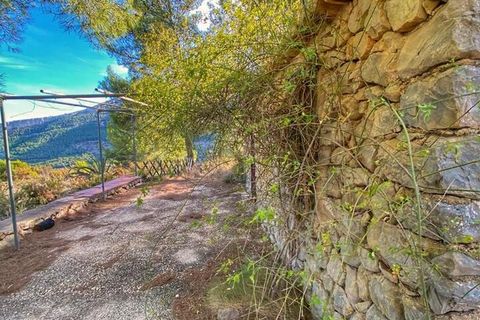 Helårsgrund i Jalon, Alicante, Jalon - € 195.000 | Ref: xj2038 - foto 8