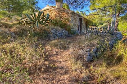 Helårsgrund i Jalon, Alicante, Jalon - € 195.000 | Ref: xj2038 - foto 10