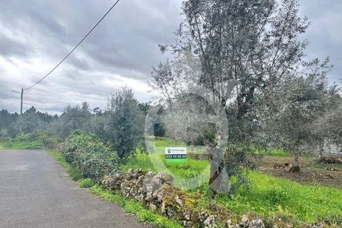 Tomt i Cernache, Coimbra, Cernache - € 30 000 | Ref: cdx0872 - foto 2