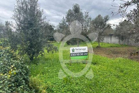 Tomt i Cernache, Coimbra, Cernache - € 30 000 | Ref: cdx0872 - foto 7