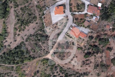 Tomt i Cernache, Coimbra, Cernache - € 30 000 | Ref: cdx0872 - foto 8