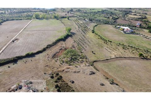Terra a Ladoeiro, Castelo Branco, Ladoeiro - € 780.000 | Ref: TER_180RS1217-3079 - foto 2