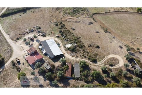 Terra a Ladoeiro, Castelo Branco, Ladoeiro - € 780.000 | Ref: TER_180RS1217-3079 - foto 3