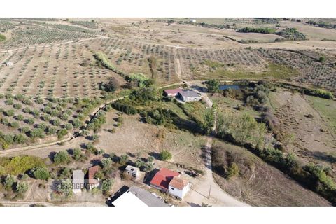 Terra a Ladoeiro, Castelo Branco, Ladoeiro - € 780.000 | Ref: TER_180RS1217-3079 - foto 4