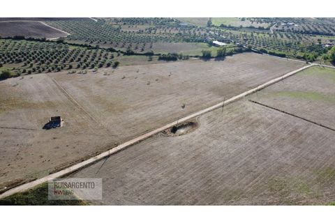 Terra a Ladoeiro, Castelo Branco, Ladoeiro - € 780.000 | Ref: TER_180RS1217-3079 - foto 5