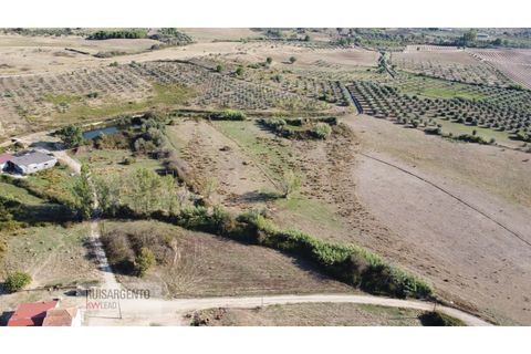 Terra a Ladoeiro, Castelo Branco, Ladoeiro - € 780.000 | Ref: TER_180RS1217-3079 - foto 6