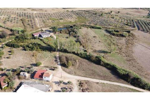 Terra a Ladoeiro, Castelo Branco, Ladoeiro - € 780.000 | Ref: TER_180RS1217-3079 - foto 7