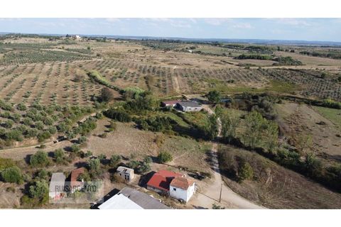 Terra a Ladoeiro, Castelo Branco, Ladoeiro - € 780.000 | Ref: TER_180RS1217-3079 - foto 8