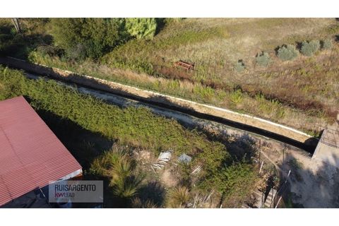 Terra a Ladoeiro, Castelo Branco, Ladoeiro - € 780.000 | Ref: TER_180RS1217-3079 - foto 13