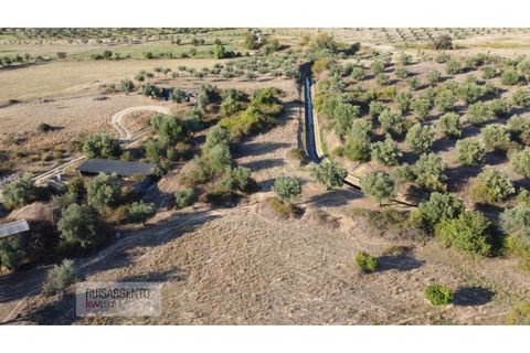 Terra a Ladoeiro, Castelo Branco, Ladoeiro - € 780.000 | Ref: TER_180RS1217-3079 - foto 14