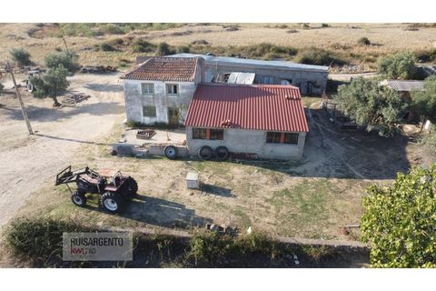 Terra a Ladoeiro, Castelo Branco, Ladoeiro - € 780.000 | Ref: TER_180RS1217-3079 - foto 16