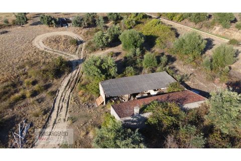 Terra a Ladoeiro, Castelo Branco, Ladoeiro - € 780.000 | Ref: TER_180RS1217-3079 - foto 18