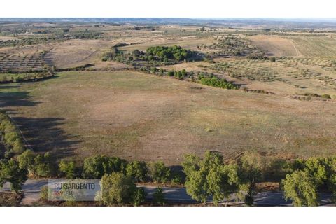 Terra a Ladoeiro, Castelo Branco, Ladoeiro - € 780.000 | Ref: TER_180RS1217-3079 - foto 21
